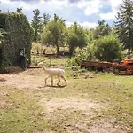 Apartamento Glicine Montieri