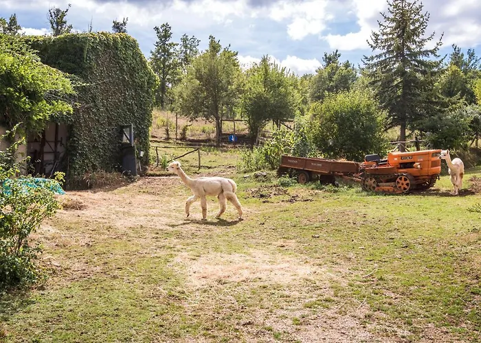 Glicine アパート Montieri