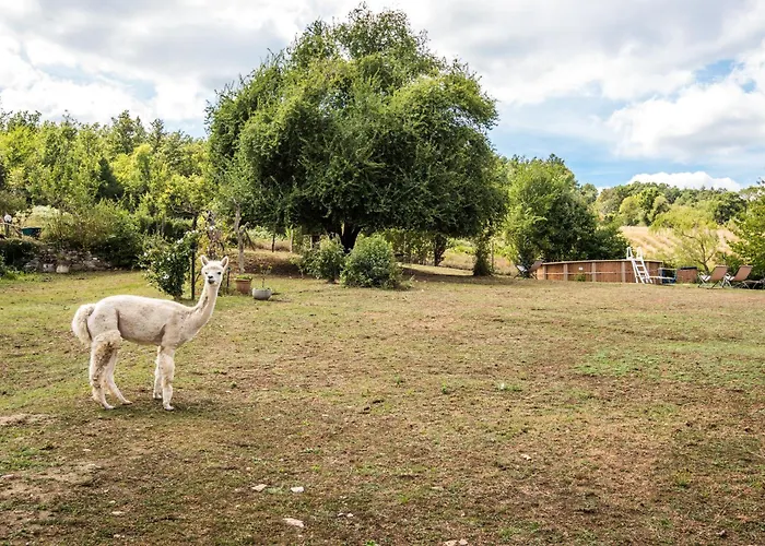 Glicine アパート Montieri